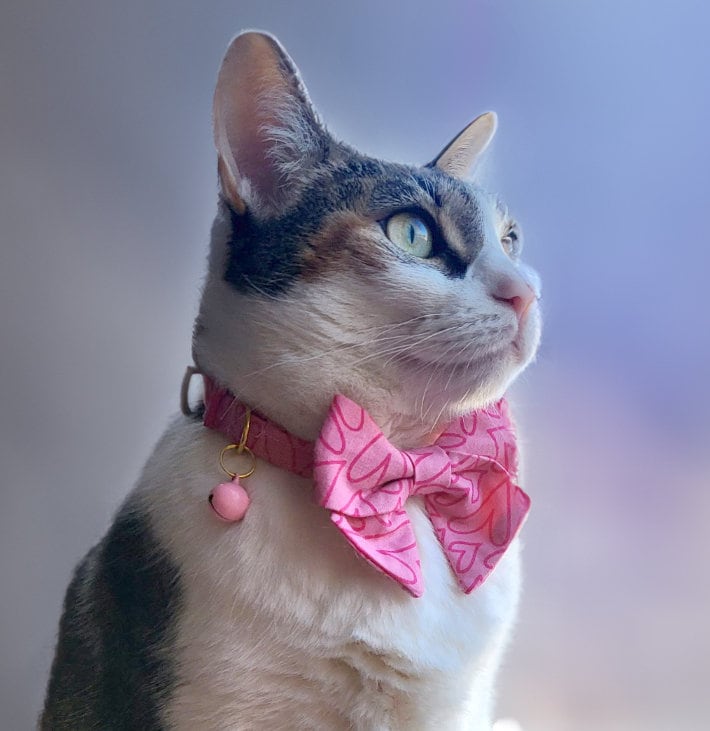 Pink Love Heart Cat Collar with Removable Bow Tie and Breakaway Buckle - Perfect Gift for Cats Kittens and Small Dogs -  Valentines Day Gift/Handmade Gift